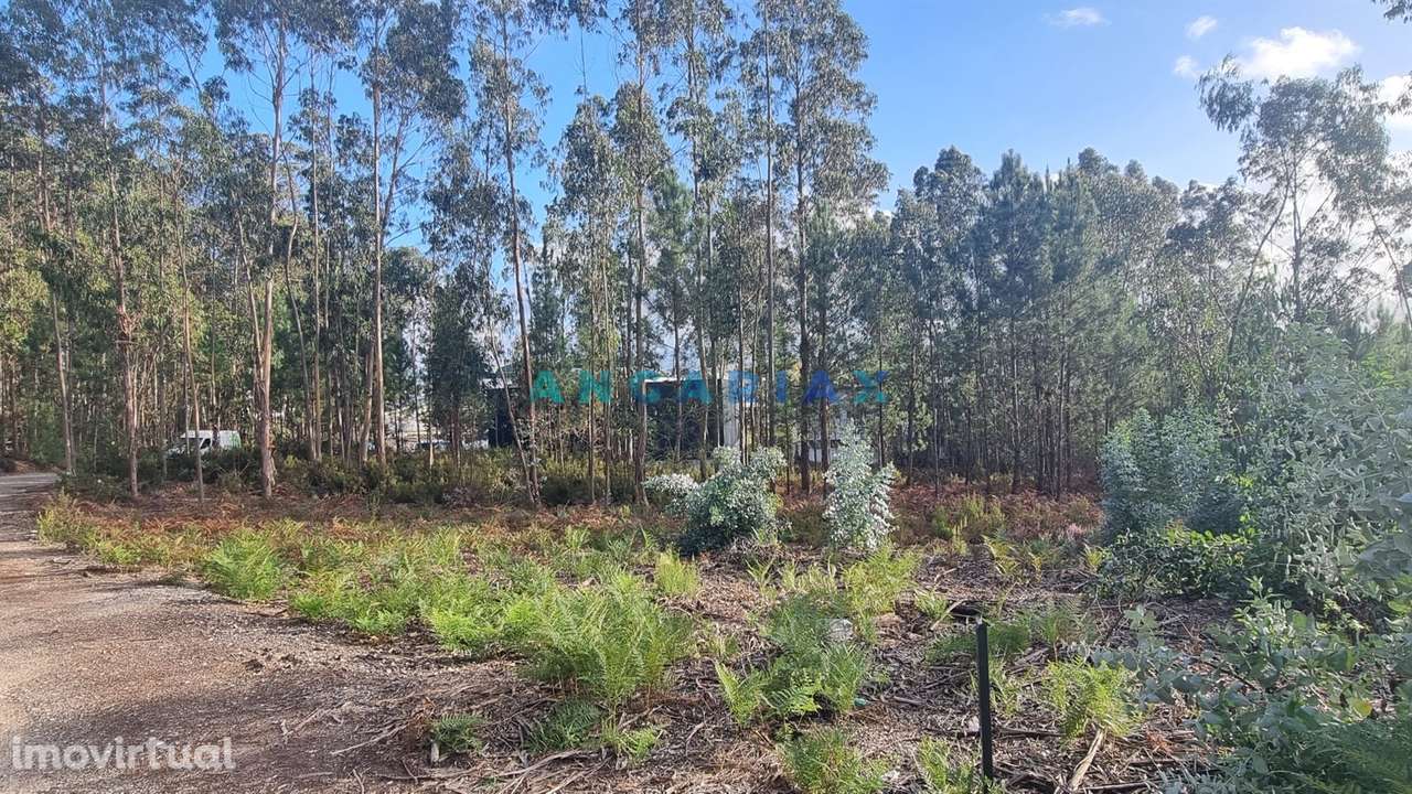 ANG1235 - Terreno para Venda em Leiria - Grande imagem: 3/8