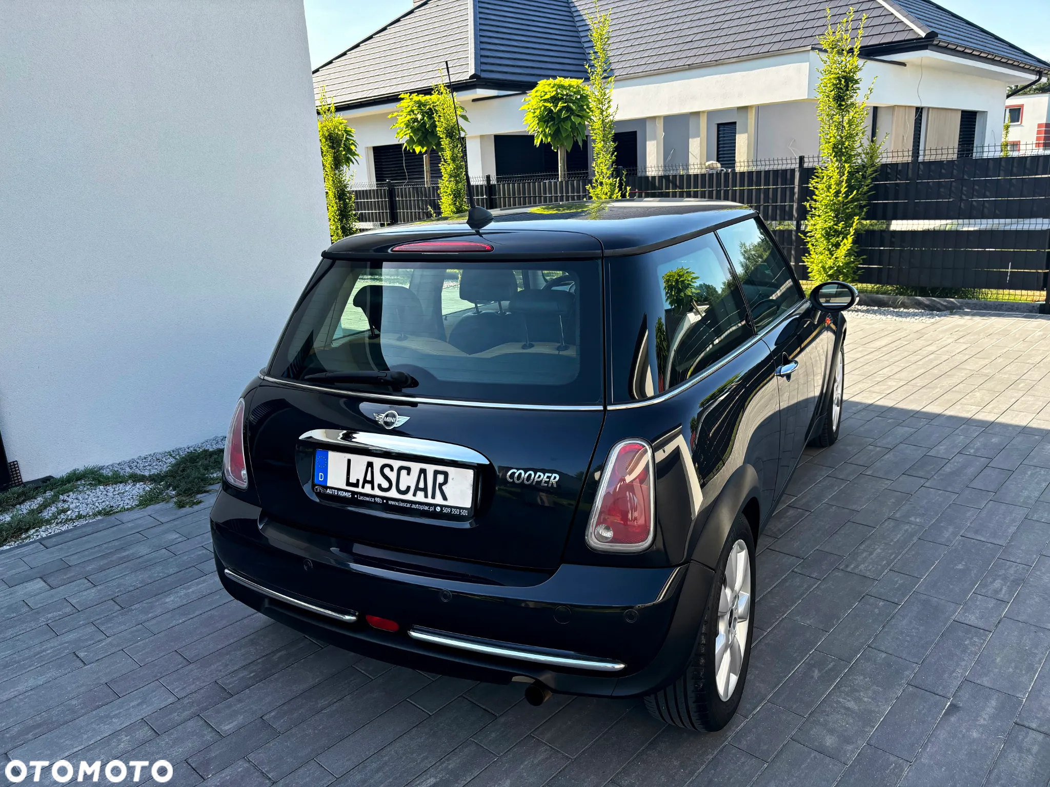 MINI Cooper pepper - 14
