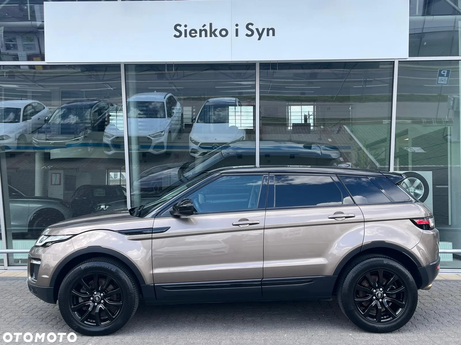 Land Rover Range Rover Evoque 2.0TD4 SE Dynamic - 13