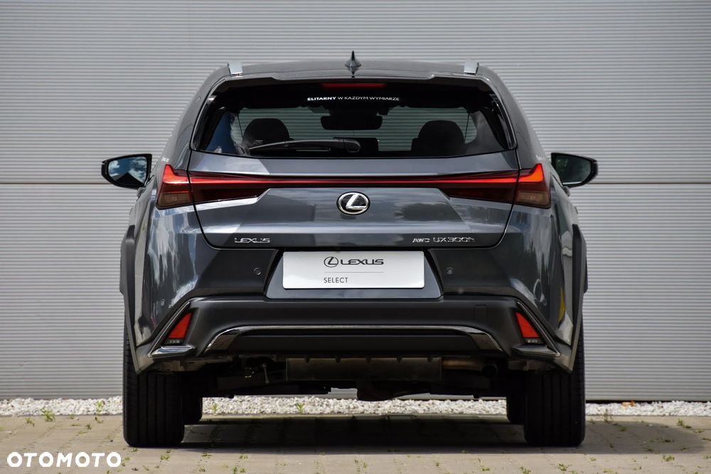 Lexus UX 300h F Sport Design AWD - 9
