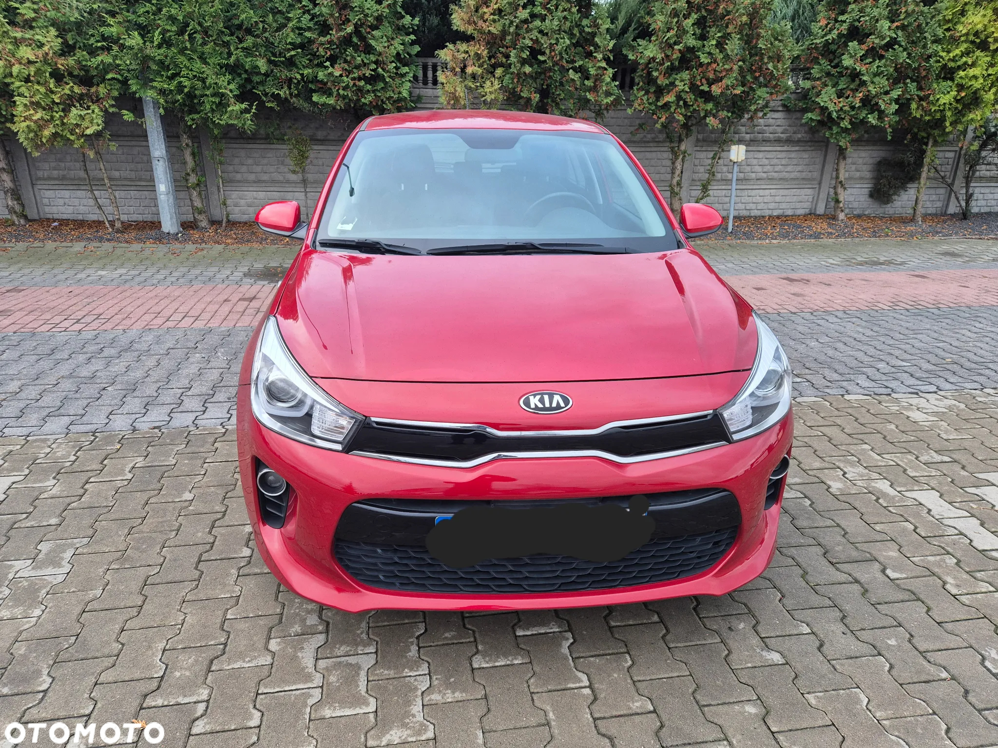 Kia Rio - 3