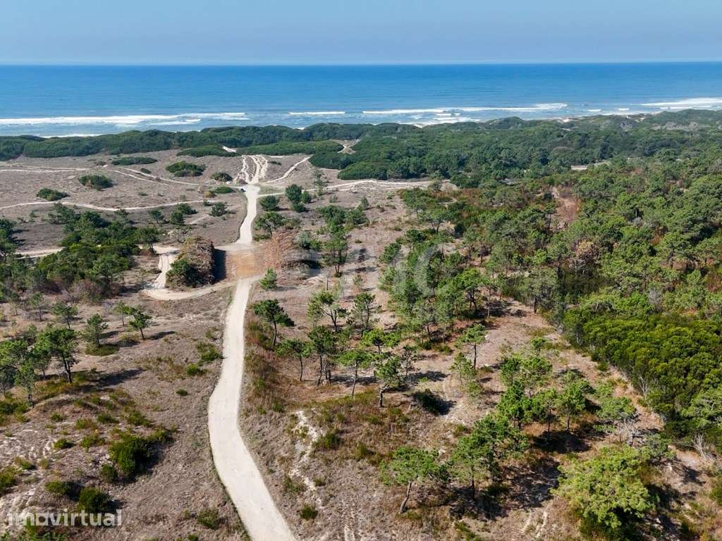 Terreno a 500mts da praia em zona tranquila - 2,5Km Torreira - Grande imagem: 4/26