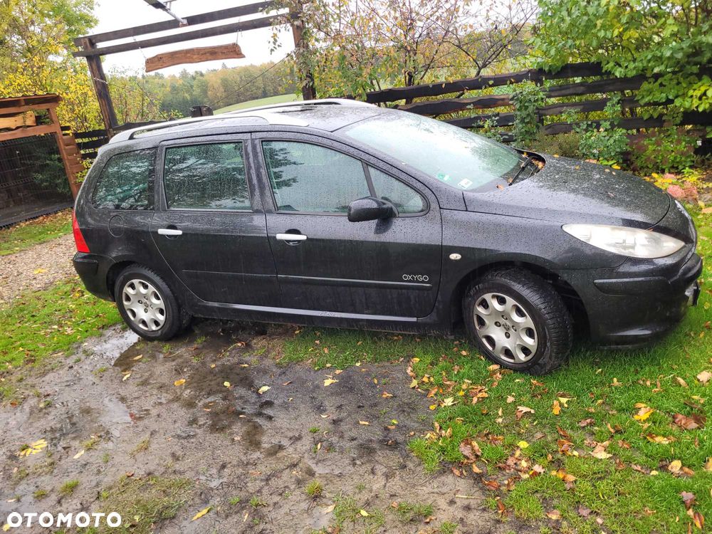 Peugeot 307 2007 photo 3