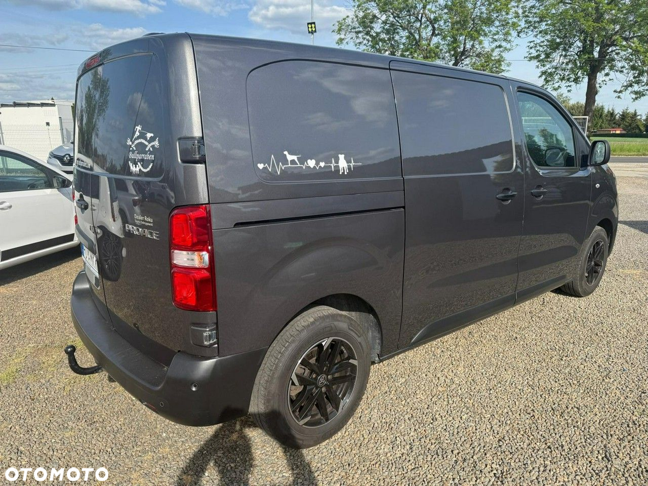 Inny Proace - 12