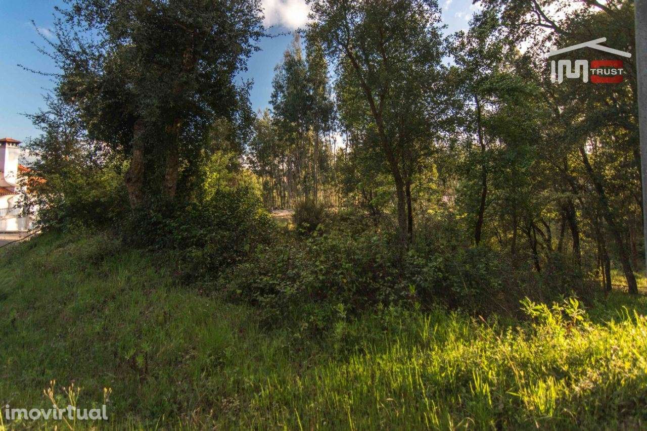 Terreno para construção, de moradia. - Grande imagem: 2/5