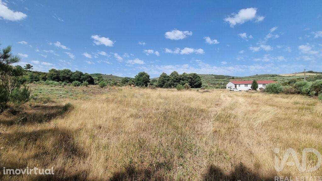 Terreno Agrícola em Prados - Grande imagem: 3/28