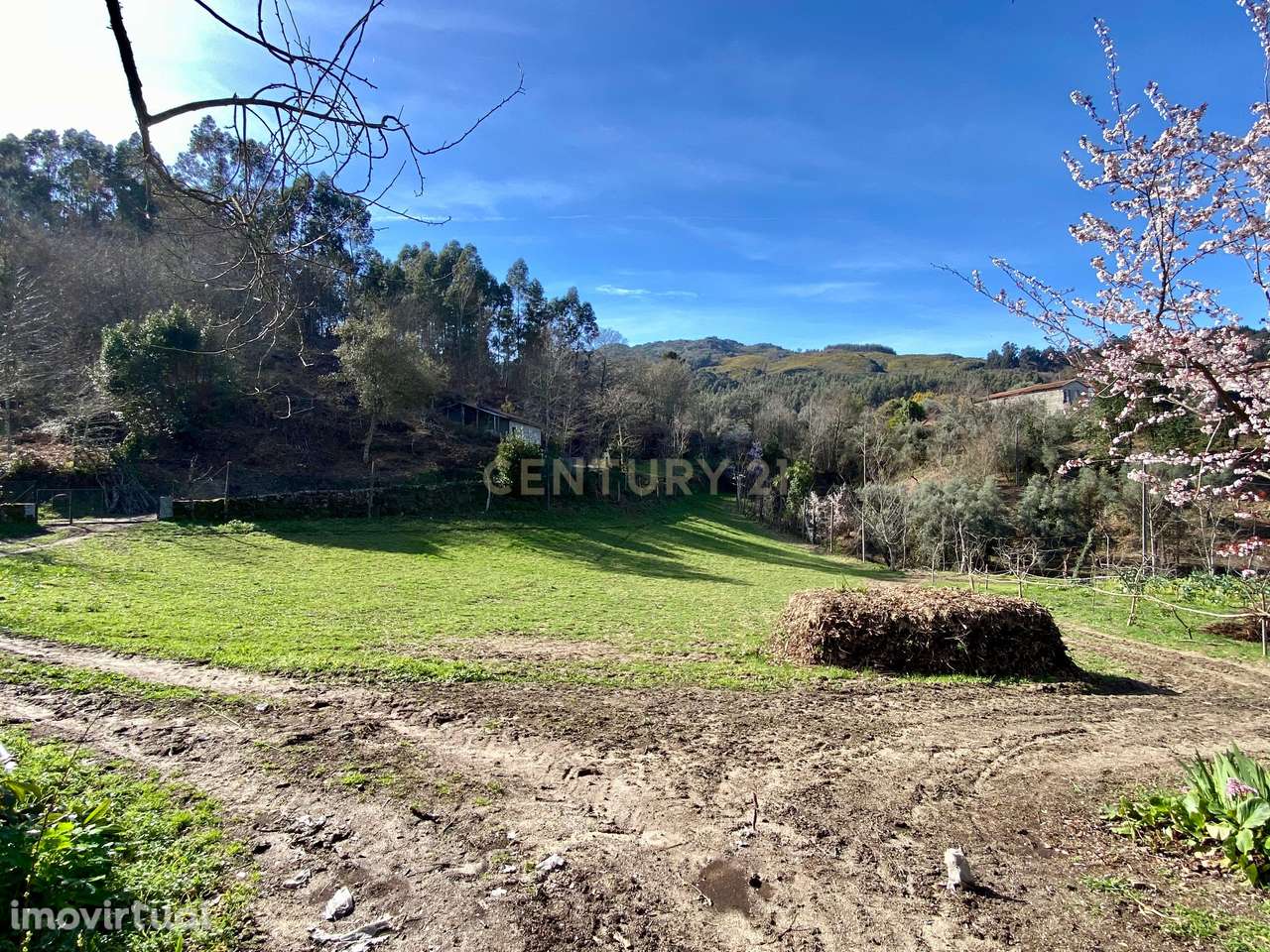 Quinta T3 Cabeceiras de Basto - Grande imagem: 5/49