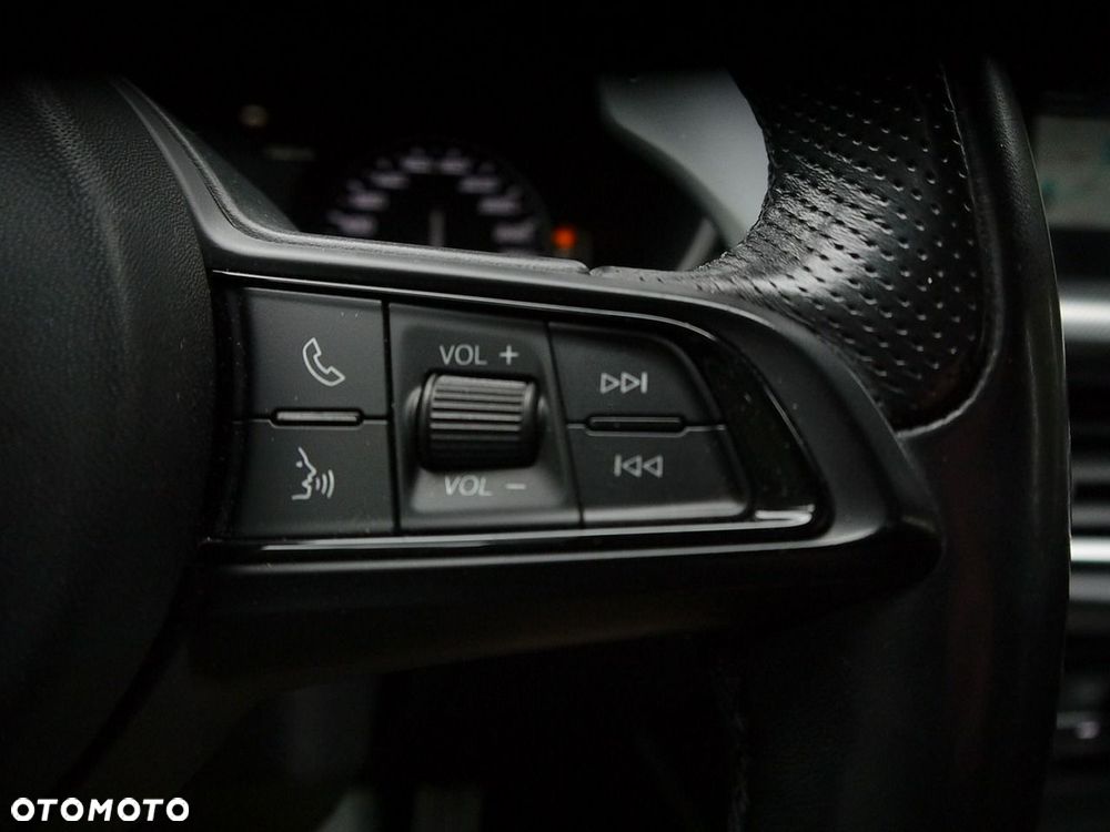 Alfa Romeo Stelvio 2.2 16V AT8 Q4 Super - 39