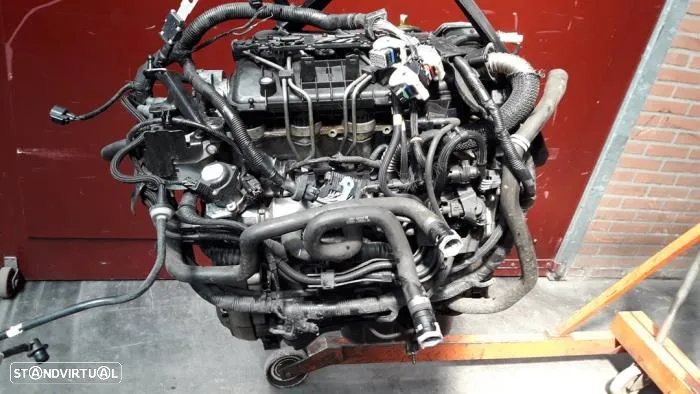 Motor G8DC FORD 1.6L 100 CV - 3