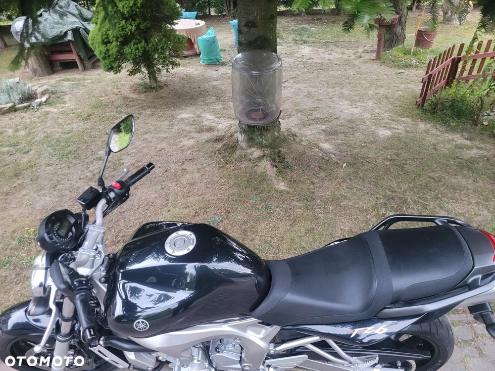 Yamaha FZ6 - 31