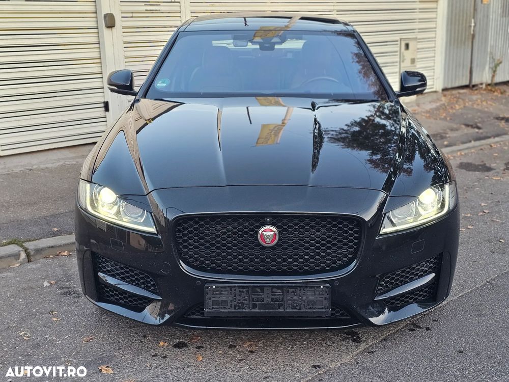 Jaguar XF 25t Chequered Flag - 3