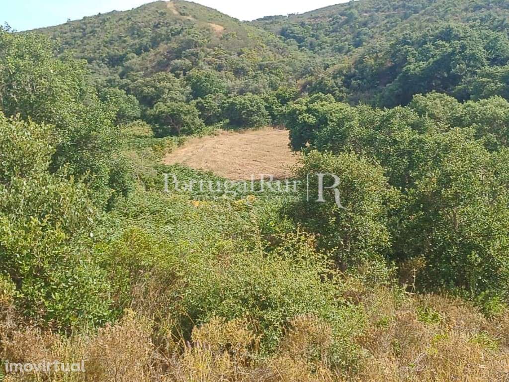 Terreno com 474.750 m² a 3 km das praias e vistas de mar - Grande imagem: 4/20