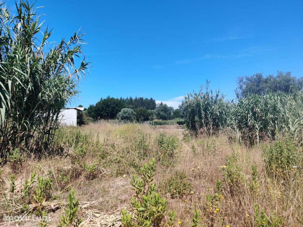 Terreno com viabilidade de construção, Coimbra, Antuzede e Vil de Mato - Grande imagem: 5/11