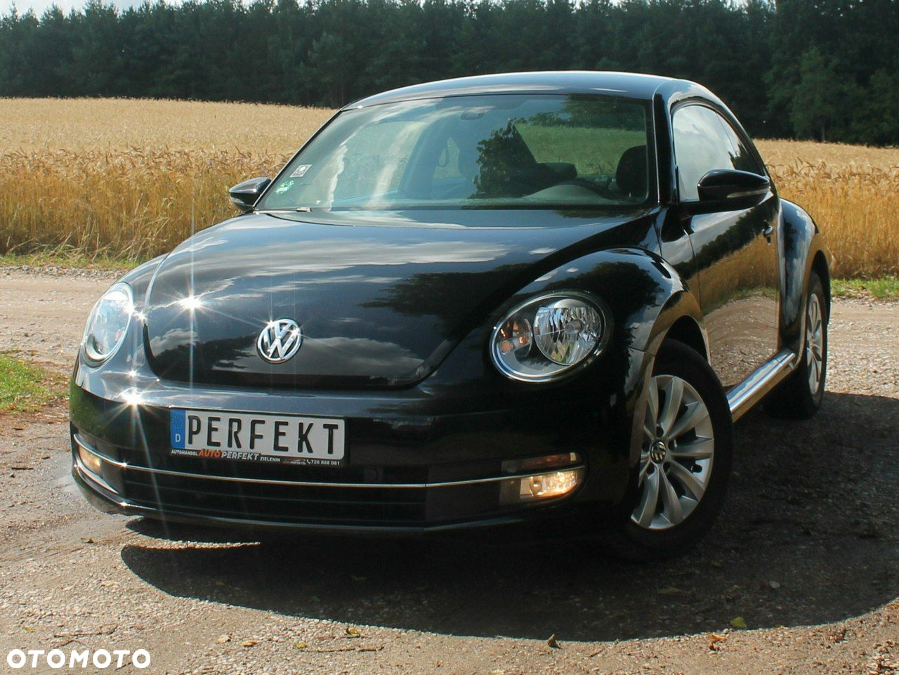 Volkswagen Beetle - 11
