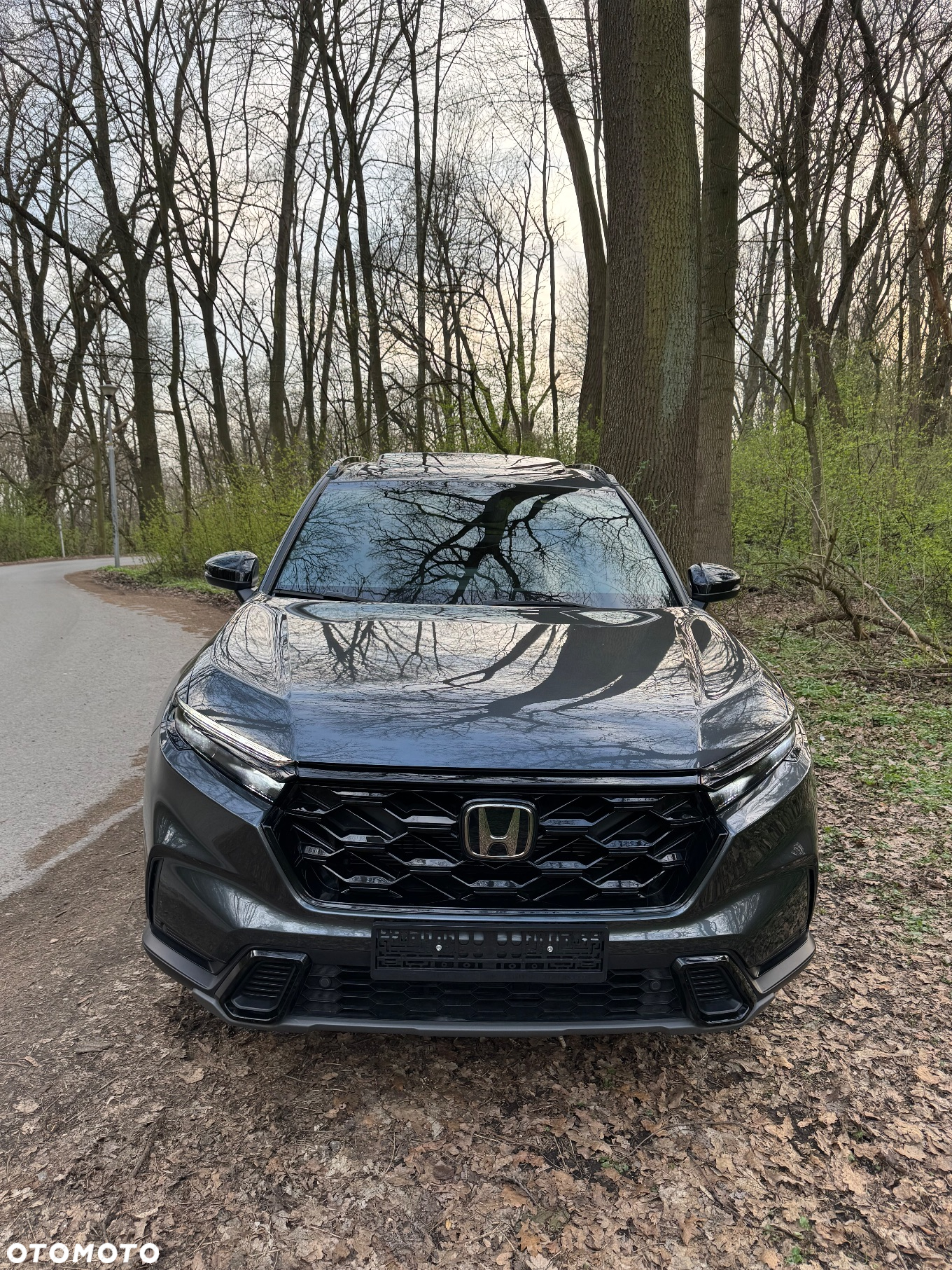 Honda CR-V e:HEV 2.0 i-MMD Hybrid AWD Advance - 2