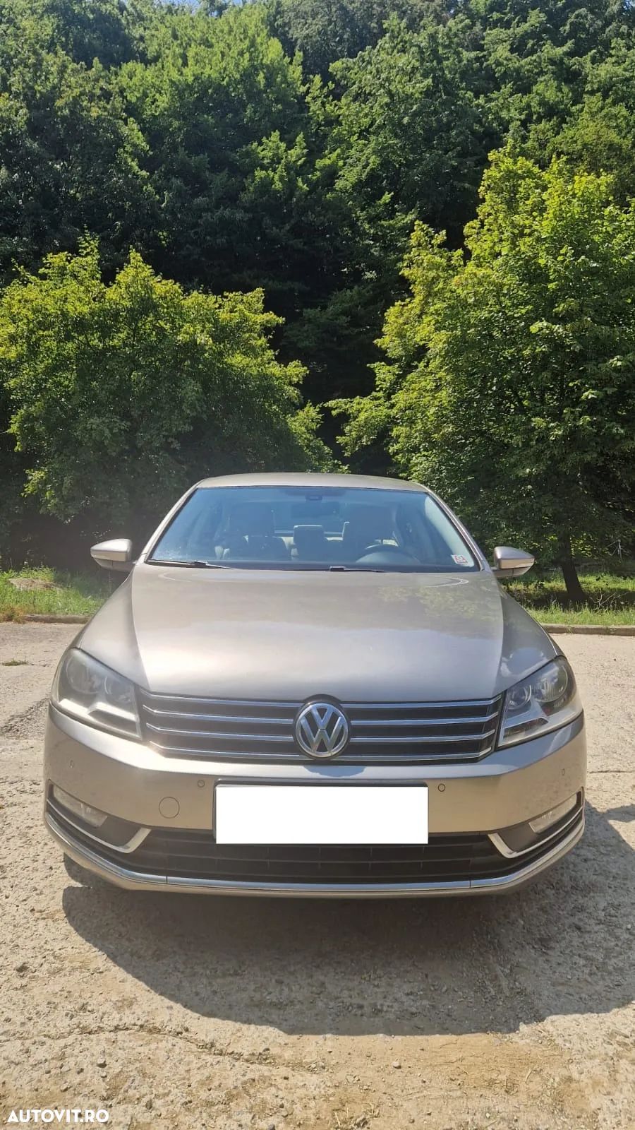 Volkswagen Passat - 1