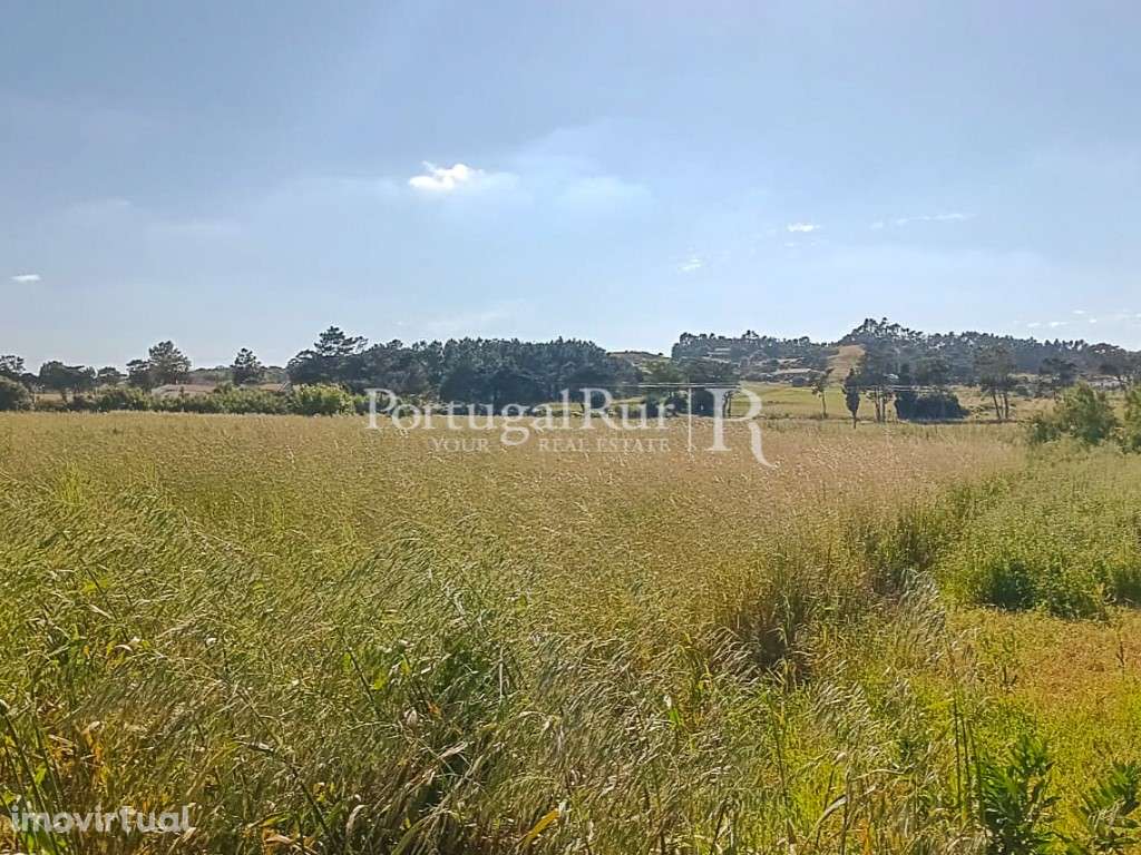 Terreno Rústico com 1.250 m², a 5 minutos das Praias - Algarve Cost... - Grande imagem: 4/5