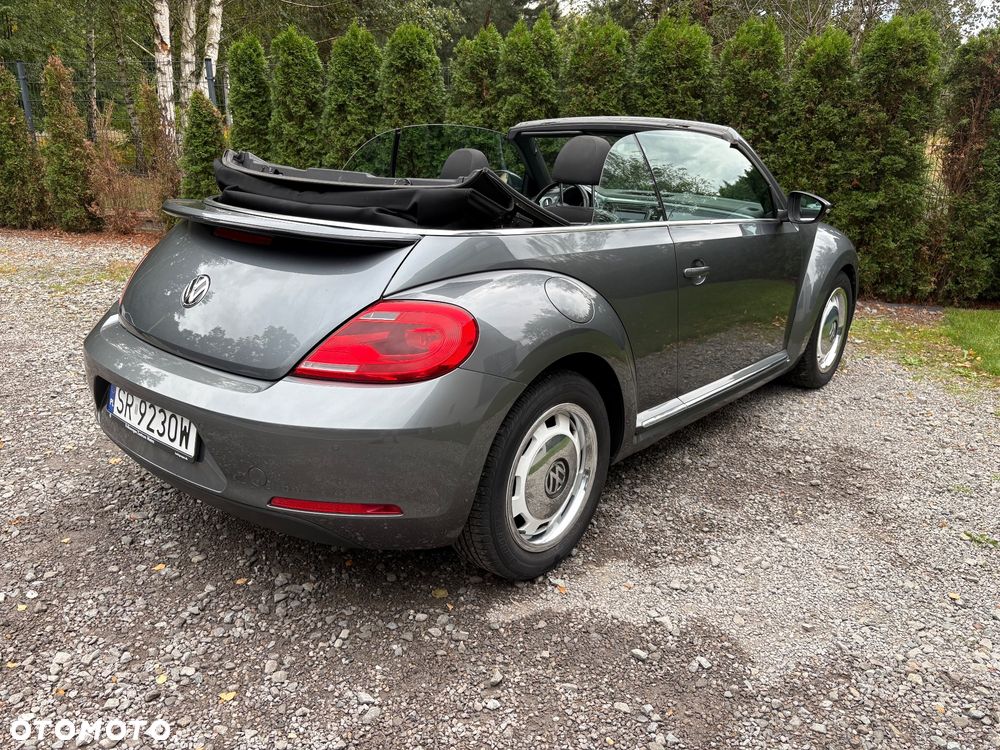 Volkswagen Beetle - 7