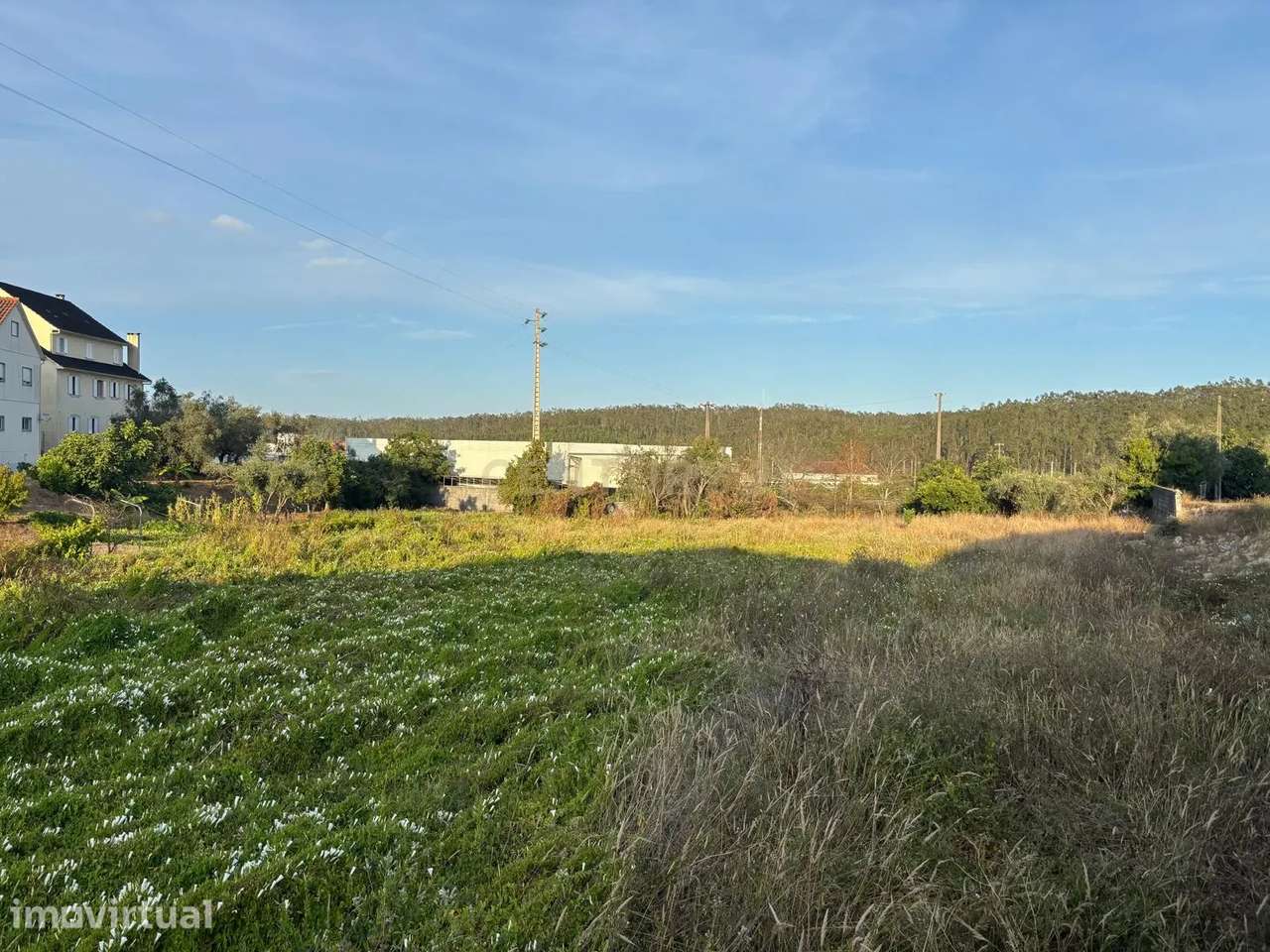 Terreno rústico com viabilidade construtiva em Albergaria dos Doze, Po - Grande imagem: 4/8