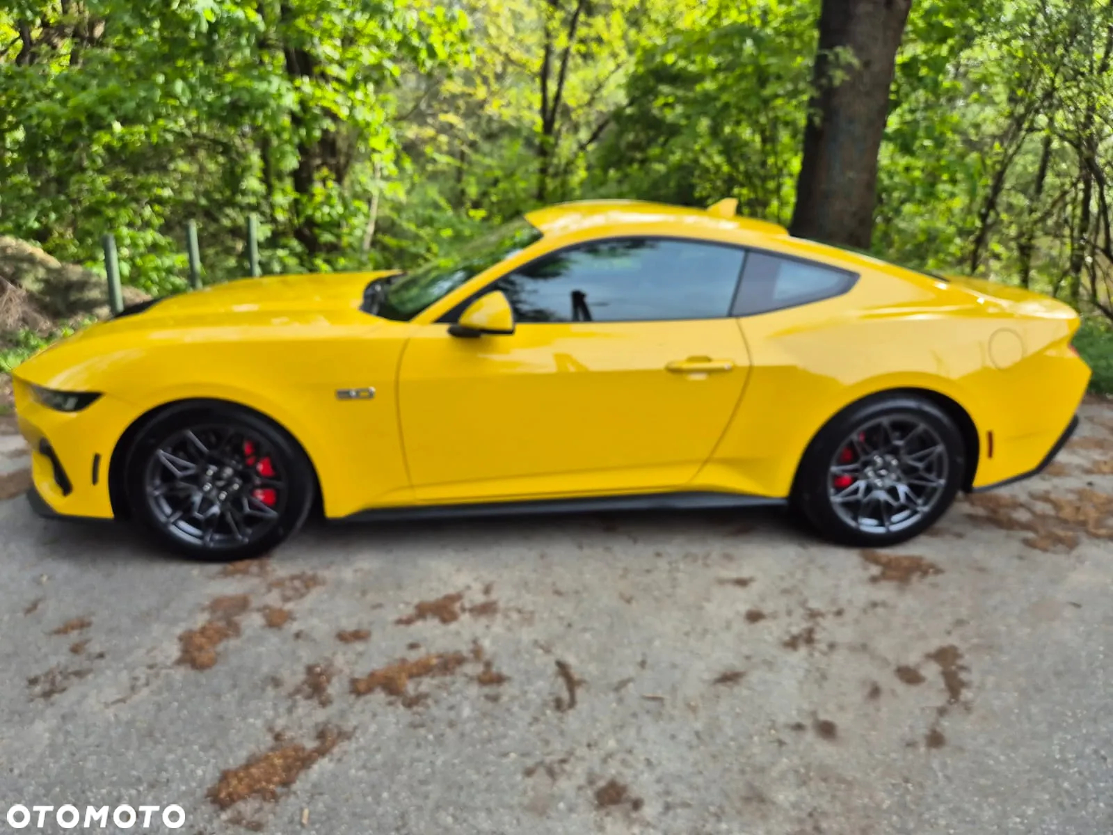 Ford Mustang Fastback 5.0 Ti-VCT V8 GT - 31