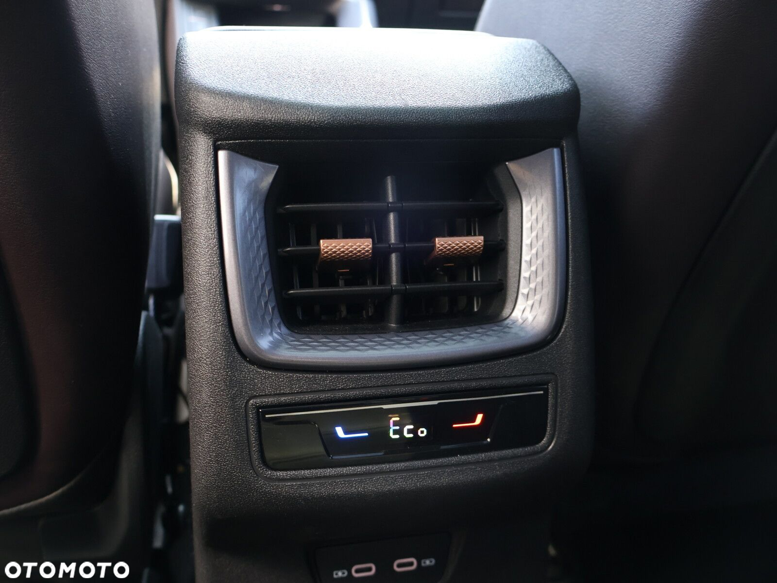 Cupra Terramar - 34