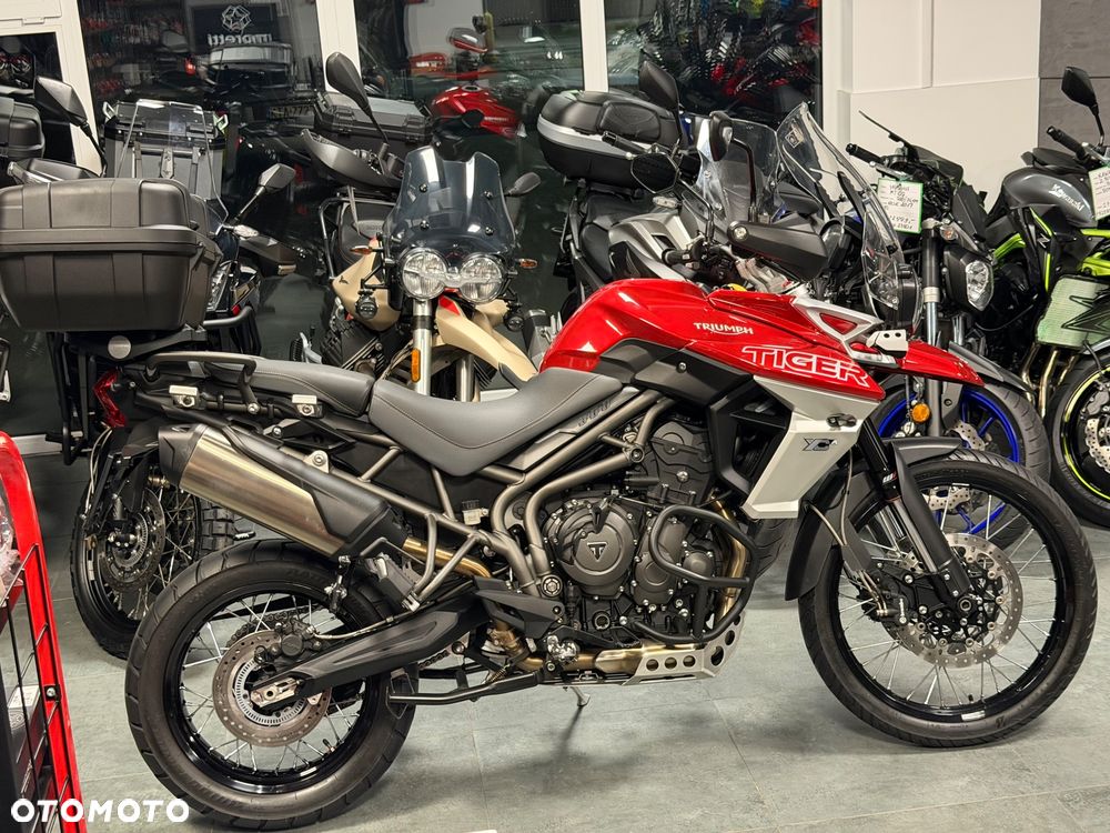 Triumph Tiger - 4