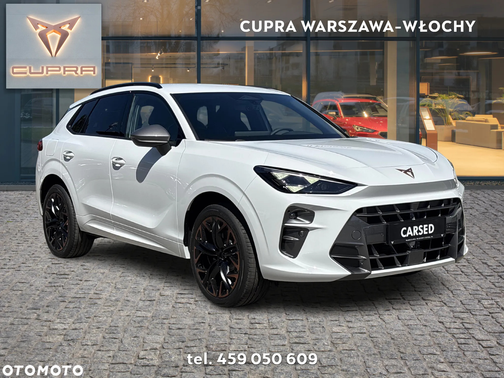 Cupra Terramar 2.0 TSI 4Drive DSG - 7