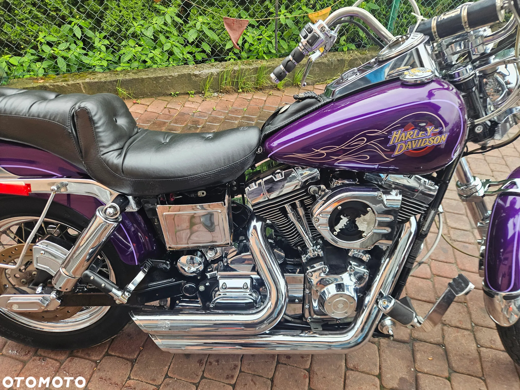 Harley-Davidson Dyna Wide Glide - 24