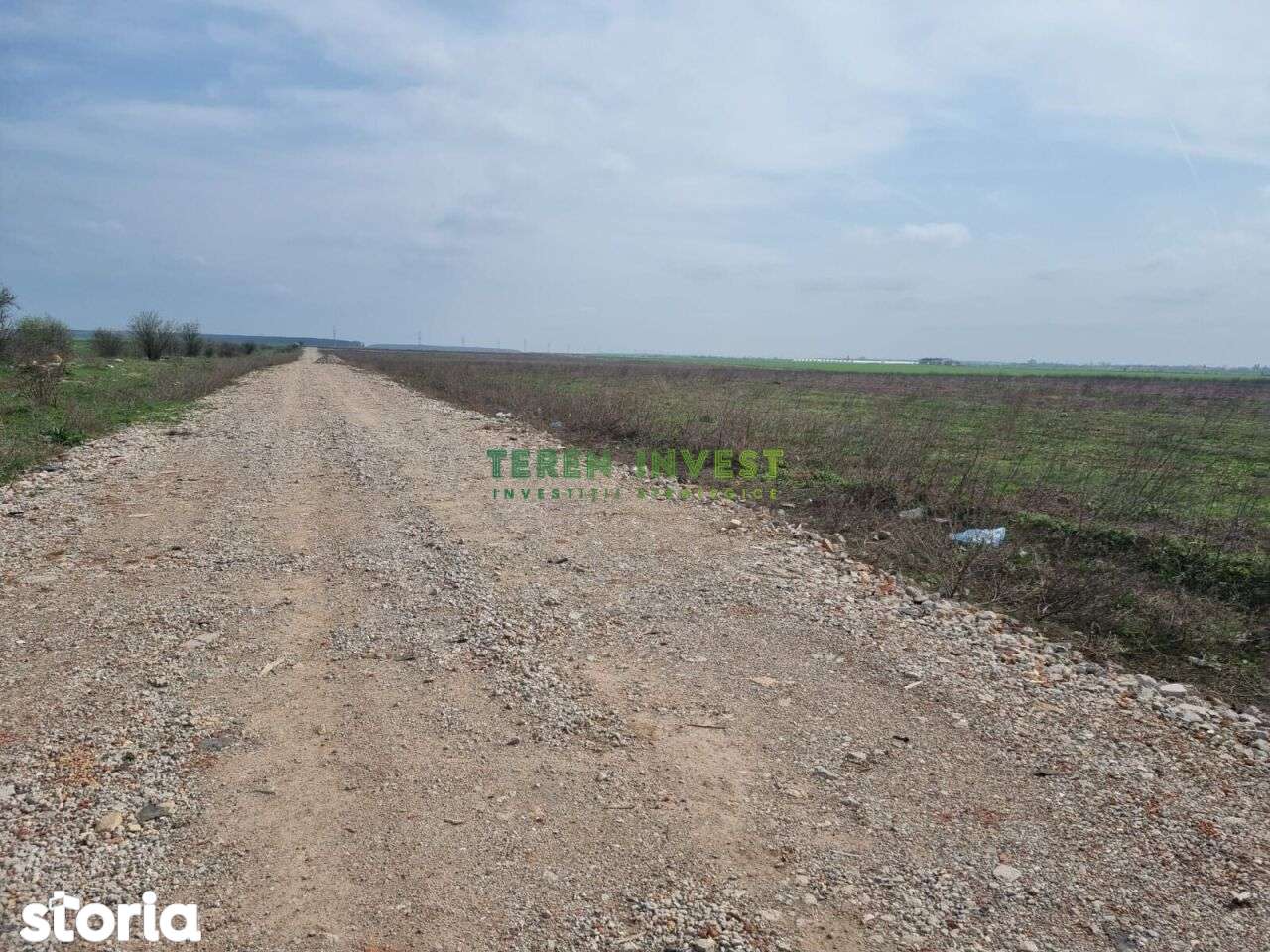 TEREN INDUSTRIAL 20.000 MP - TÂNGANU - A2 PUZ APROBAT - Imagine principală: 2/16