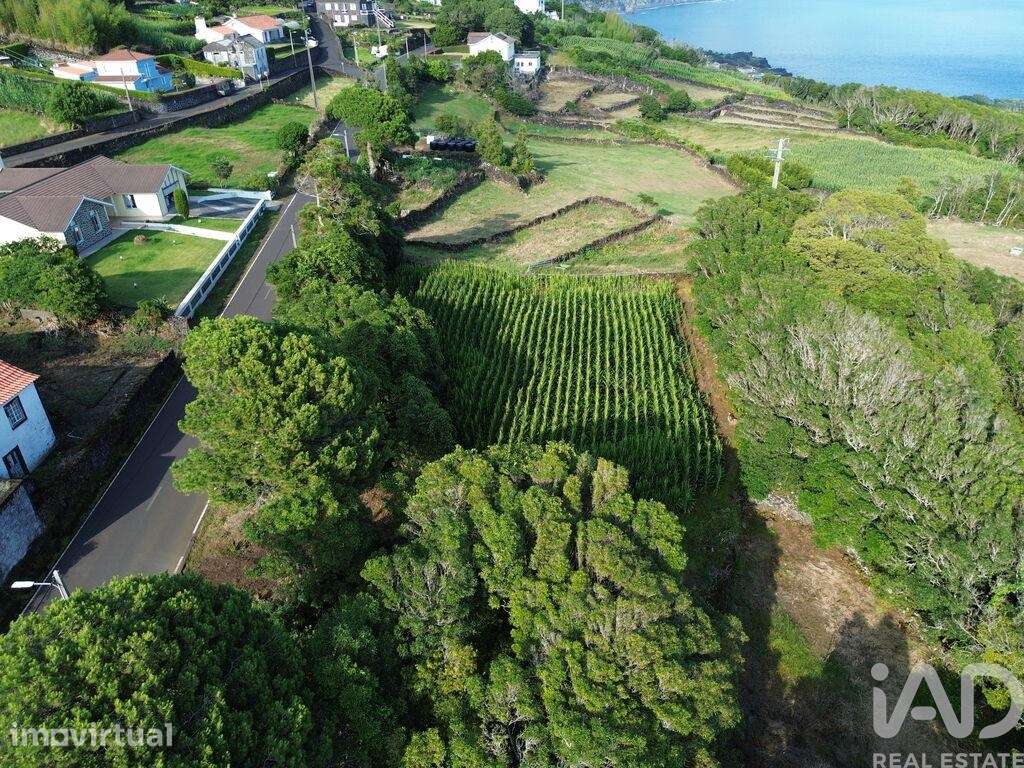 Terreno em Ribeiras - Grande imagem: 3/8