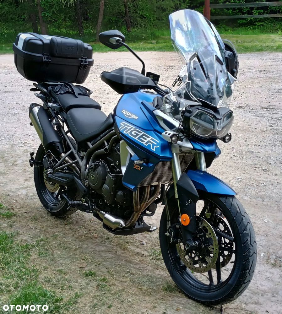 Triumph Tiger - 6