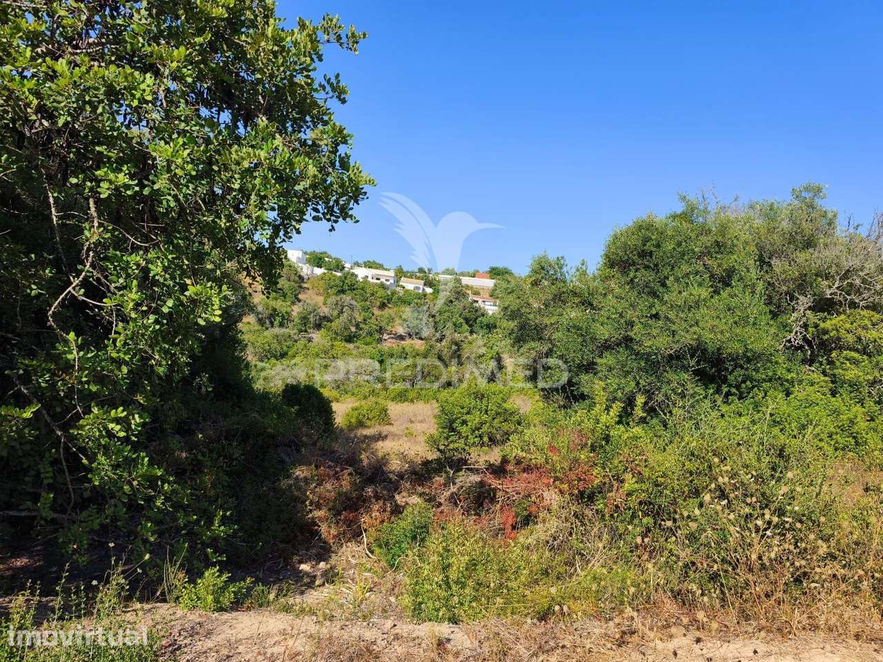 Albufeira-Paderne Casas Pires -  Terreno Rustico plano 9200m² - Grande imagem: 3/17