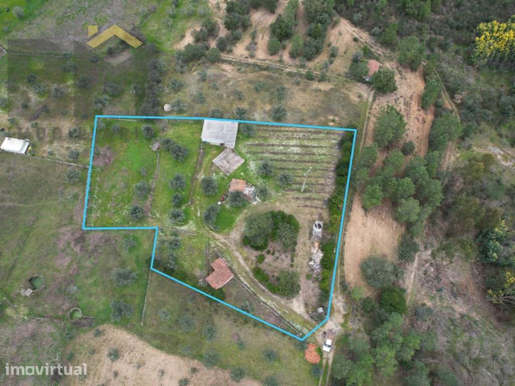 Quinta com 3.720m2 em Juncal do Campo! - Grande imagem: 2/37