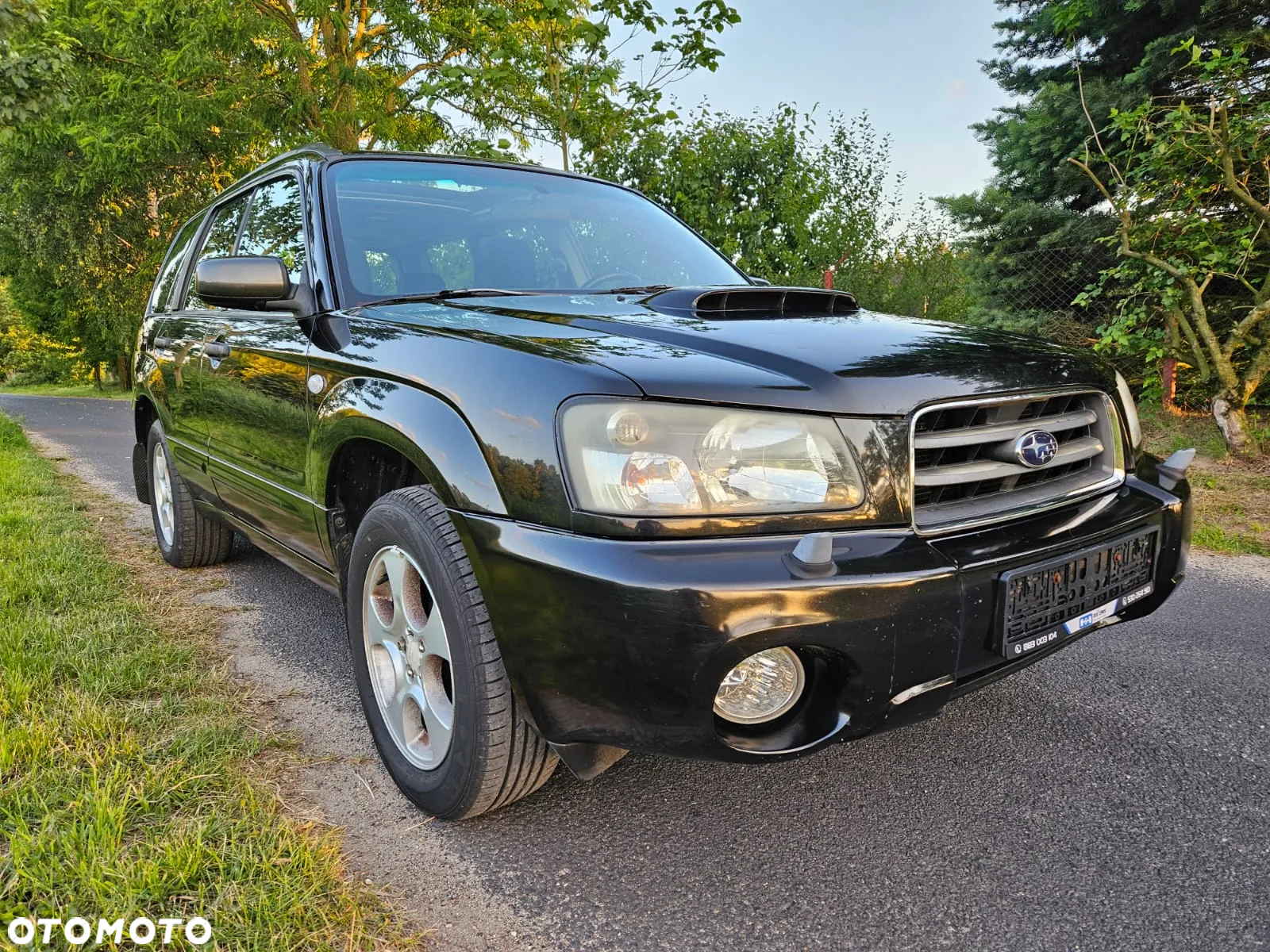 Subaru Forester - 20