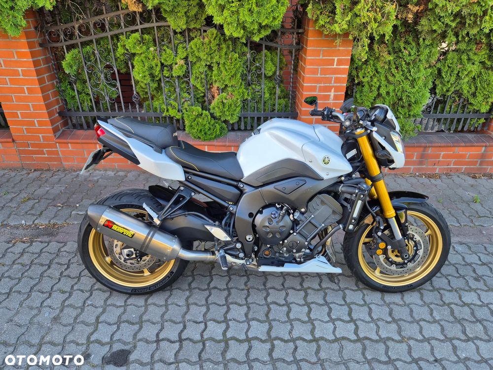 Yamaha FZ8 - 18