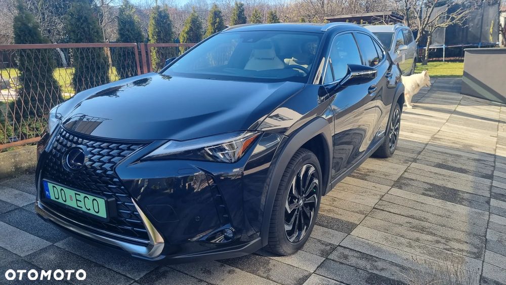 Lexus UX 300e 54.3 kWh Omotenashi 2WD - 8