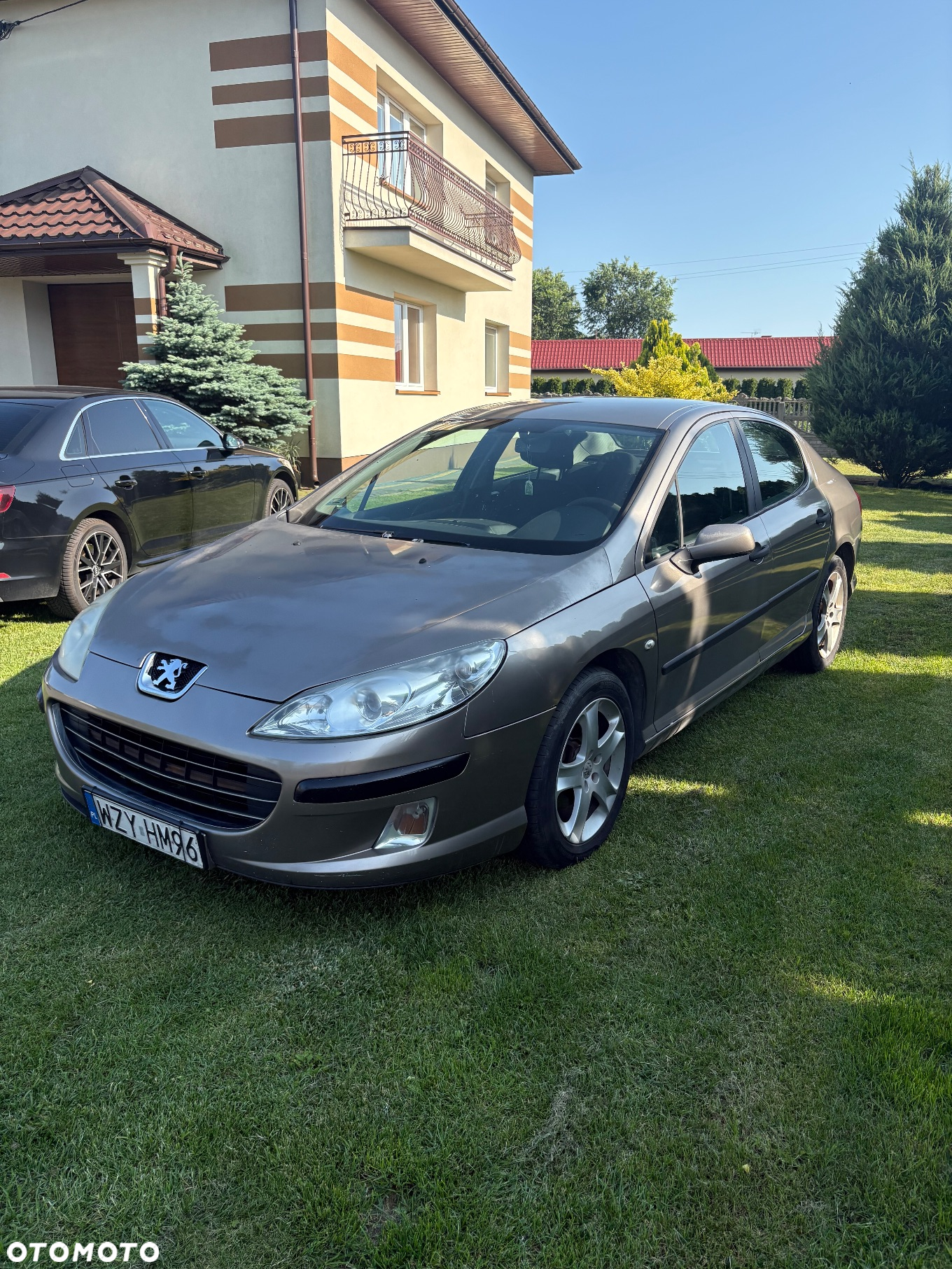 Peugeot 407 - 2