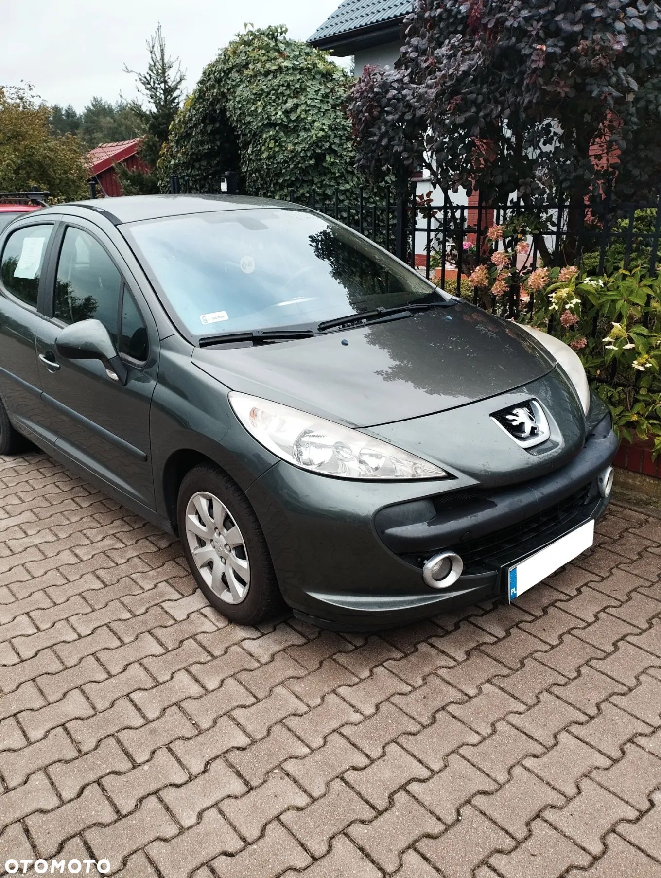 Peugeot 207 - 1
