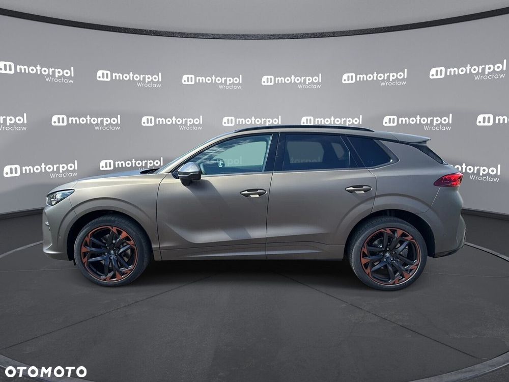 Cupra Terramar - 8