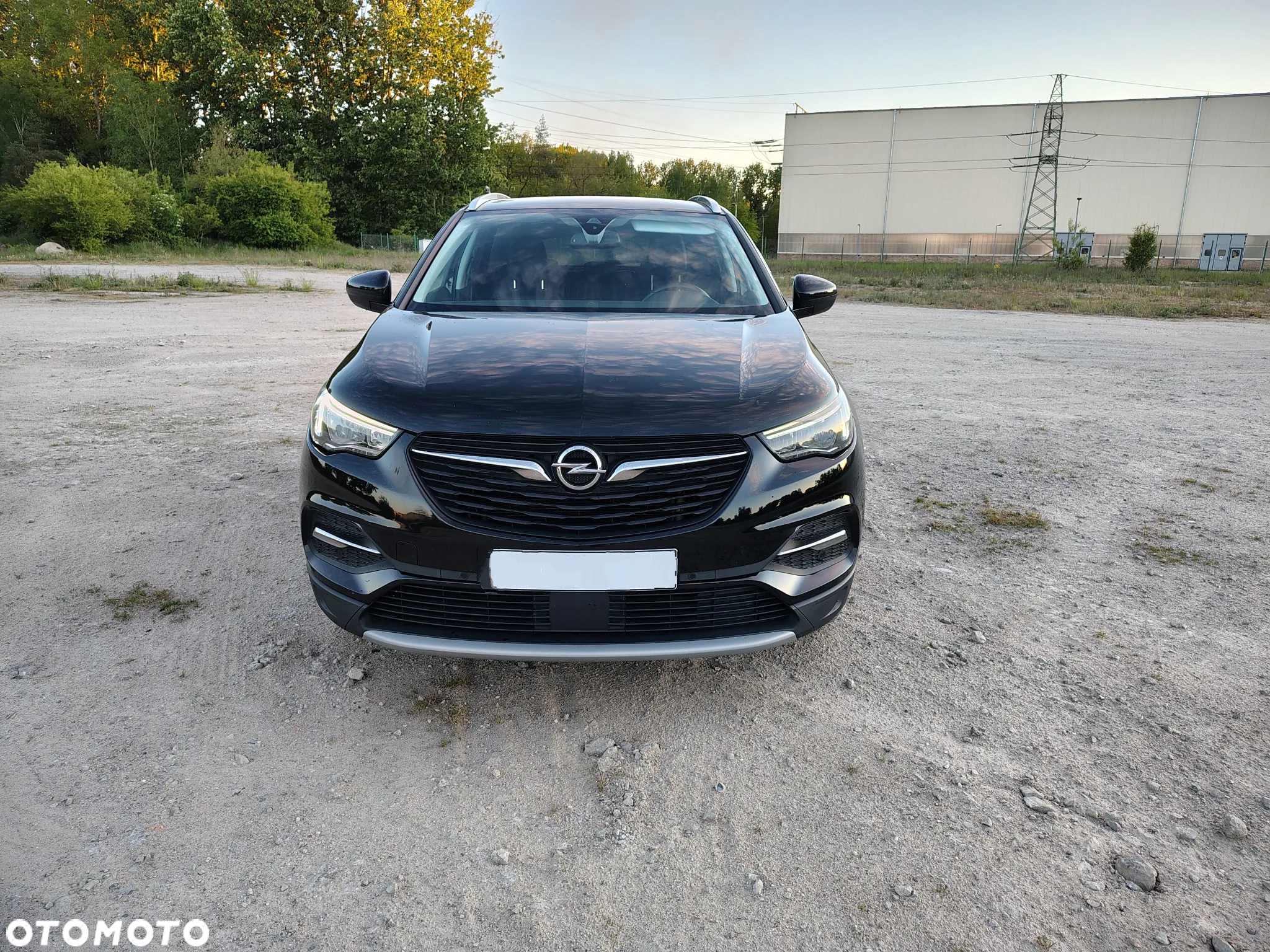 Opel Grandland X 1.6 CDTI Elite S&S - 2