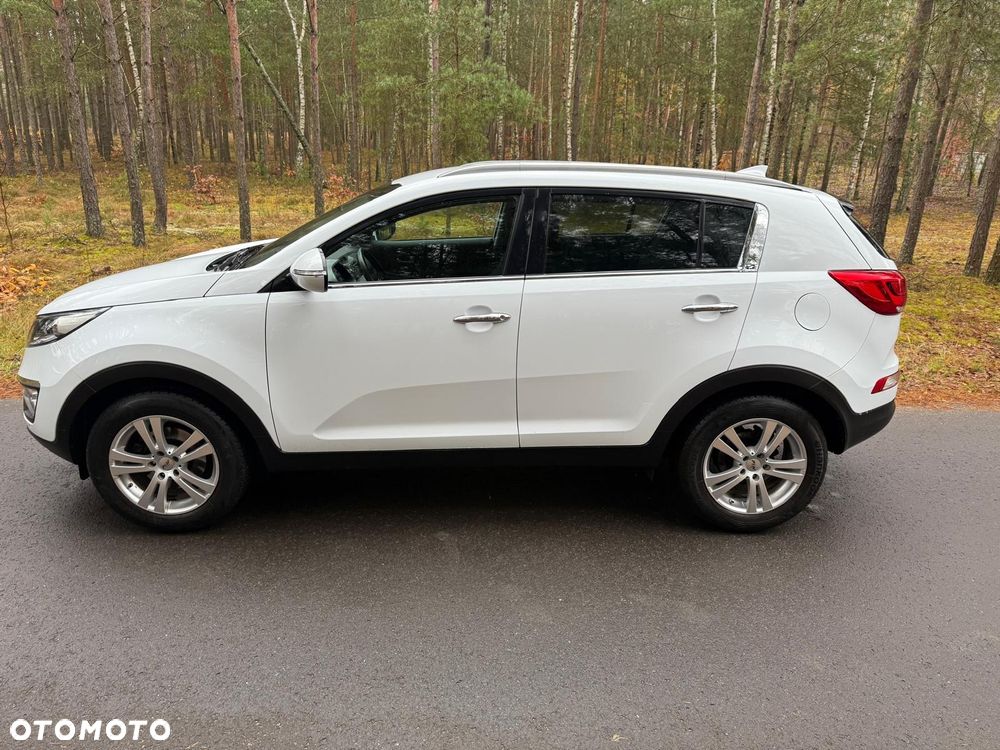 Kia Sportage 1.6 GDI Business Line 2WD - 8