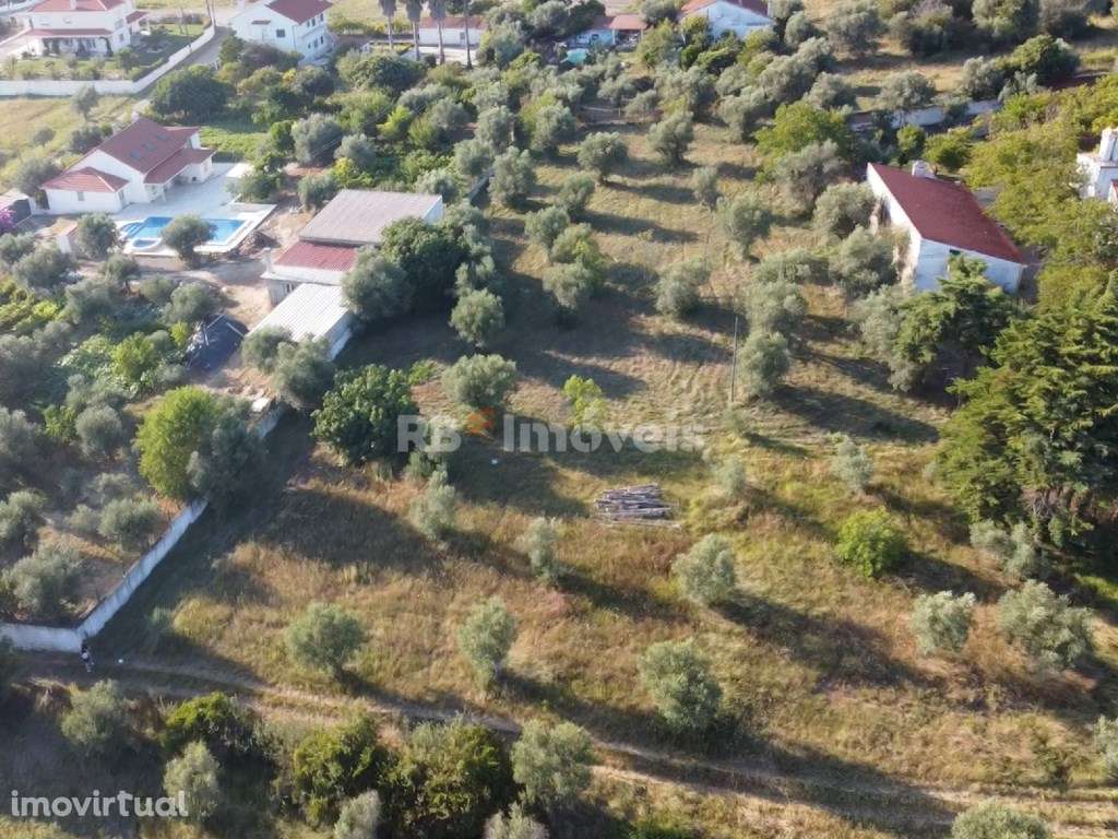 Dois Terrenos Urbanizáveis com 2480 m2 - Pesqueira, Tomar - Grande imagem: 3/45