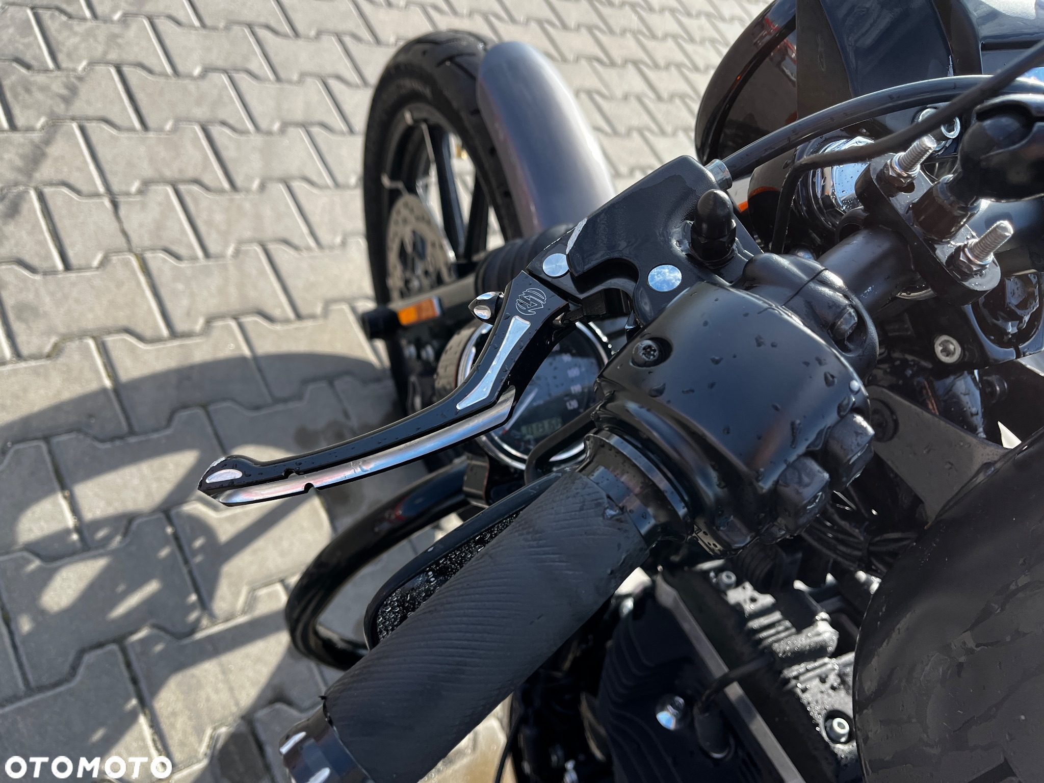 Harley-Davidson Sportster Iron 883 - 10