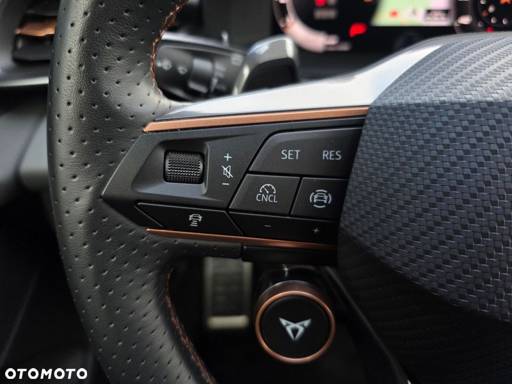 Cupra Terramar - 15