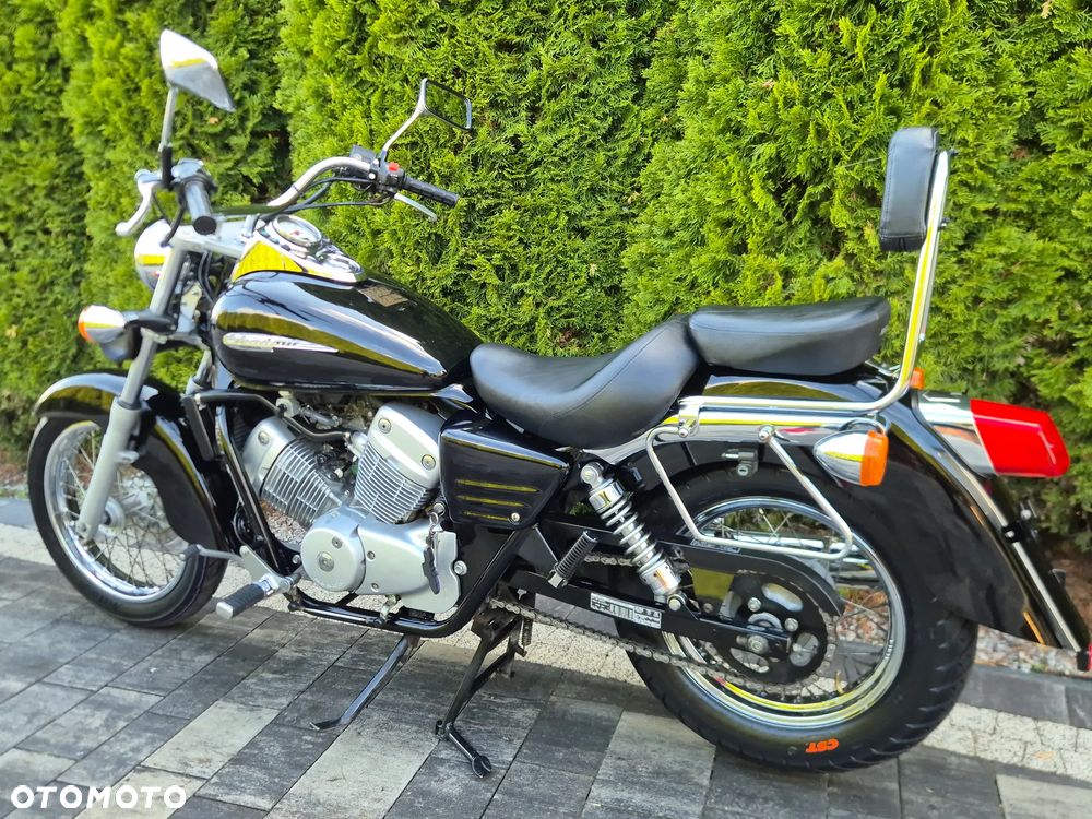 Honda Shadow - 6