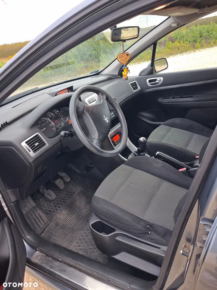 Peugeot 307 1.6 XS - 7