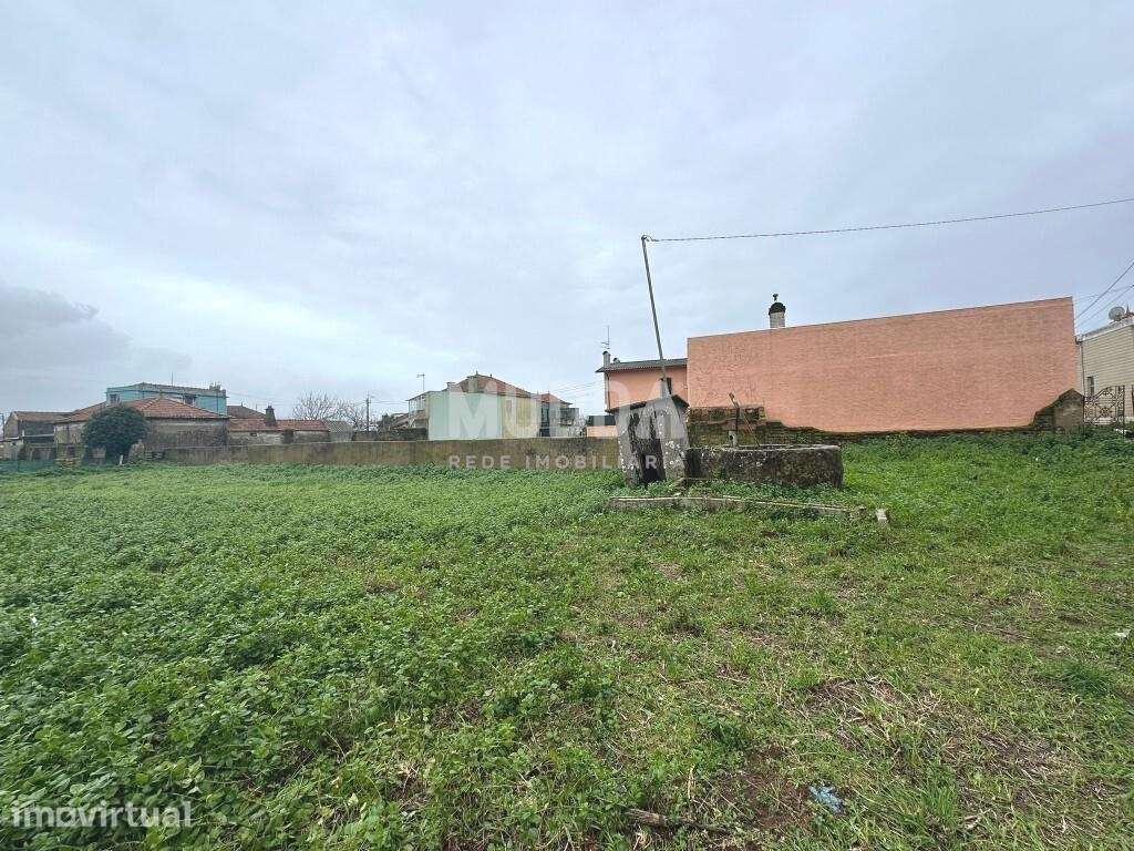 Terreno Rústico, com viabilidade de construção, Murtosa - Grande imagem: 4/8