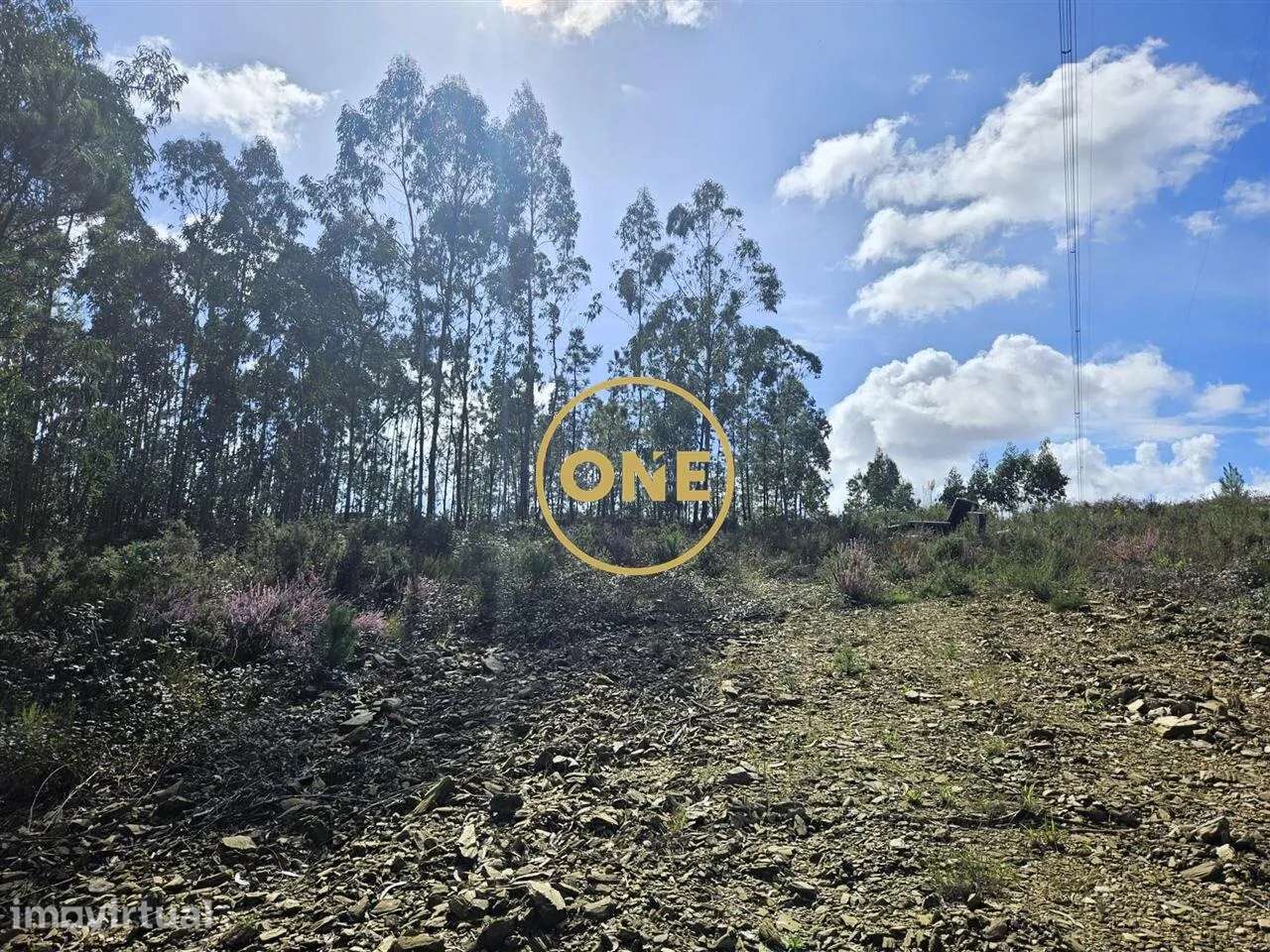 Terreno Florestal com 14.500 m2 em Balazar - Grande imagem: 4/17