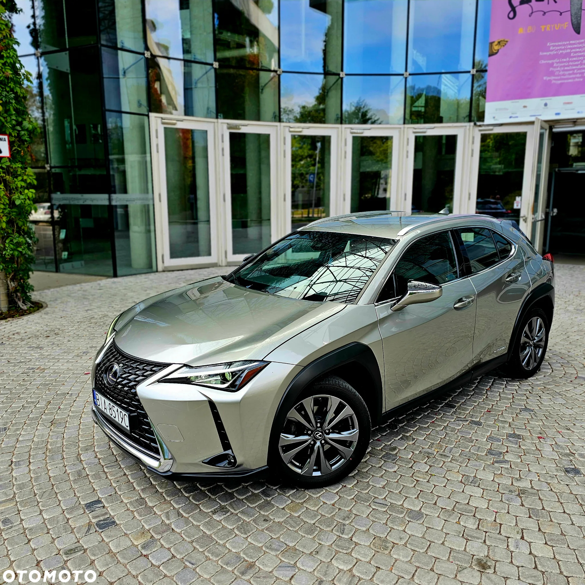 Lexus UX 250h GPF Elegance 2WD - 5