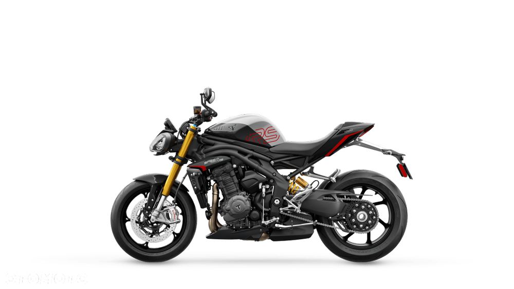 Triumph Speed Triple - 32